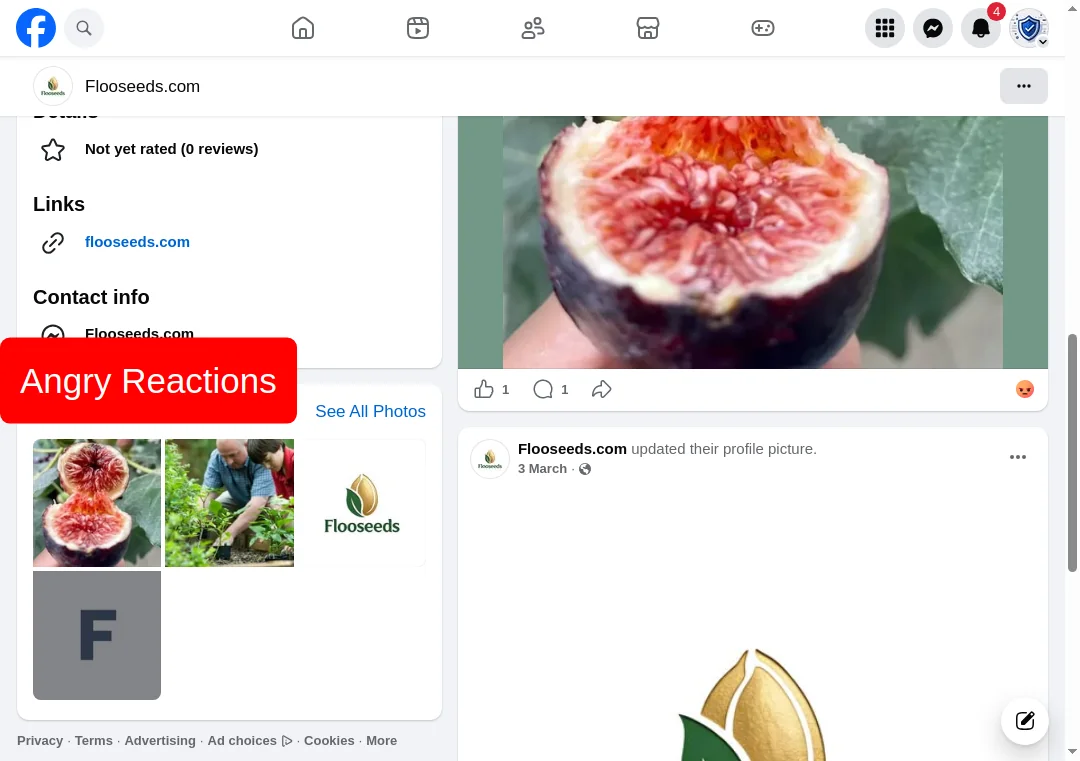 Facebook angry reactions on flooseeds.com page