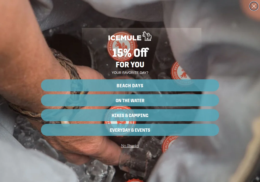 Screenshot of icemule.com homepage showing a clean professional layout