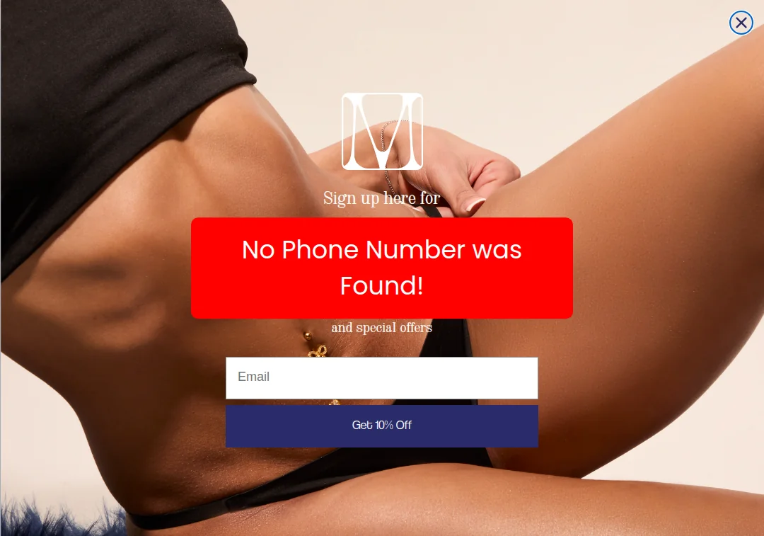 Screenshot showing msklabs.com has no phone number in contact section